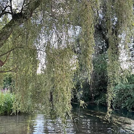 Maison Familiale Au Calme Dans Le Ried Alsacien Σπίτι διακοπών Baltzenheim